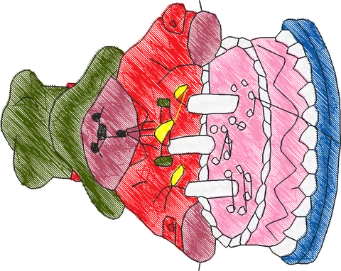 Paddington Bear3 (4)
